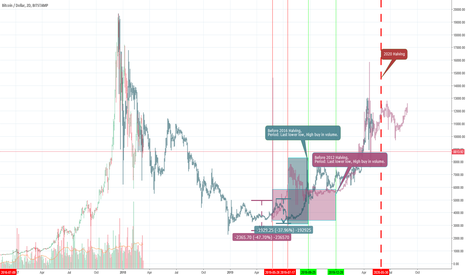 BTC Previous Halvings, future trade idea