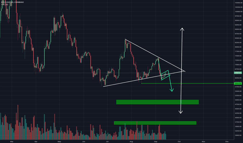 Bitcoin: The bullish, the bearish, and the truth.