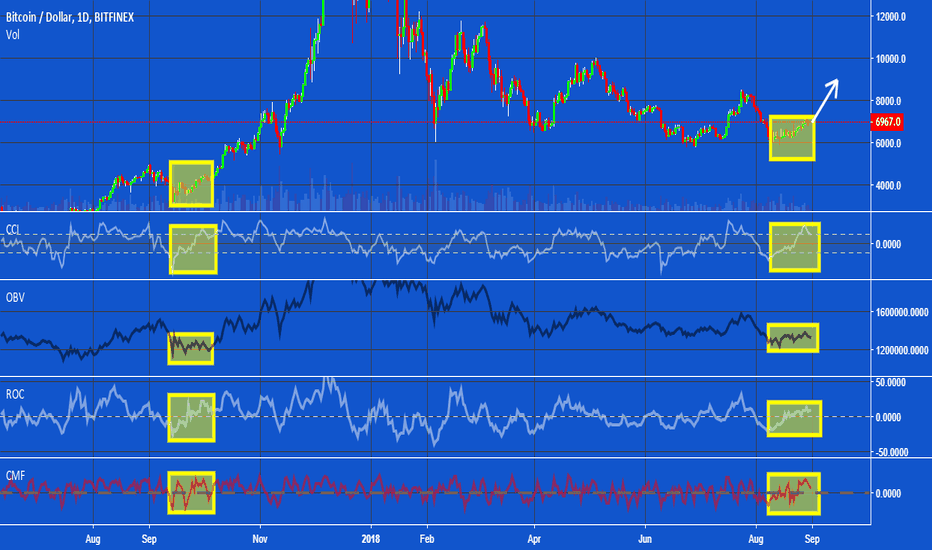 BULL MARKET TIME ?