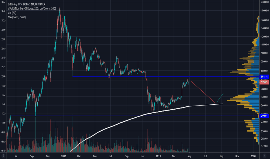 Don't FOMO, bears will come back!