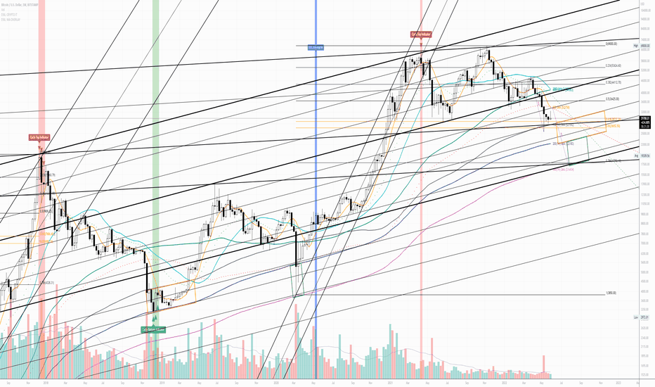 Cycle Bottom Indicator [CBI] - [Weekly View UPDATE]