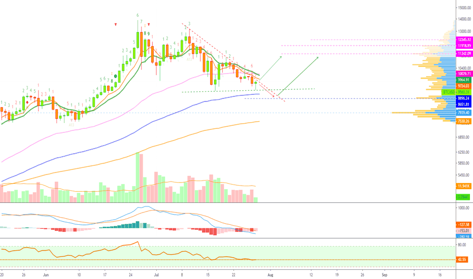 Bitcoin Stops! Time To Go Long? $11,000 or $7,200 Next?