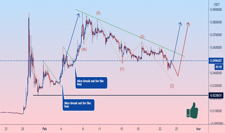 The DOGECOIN pump