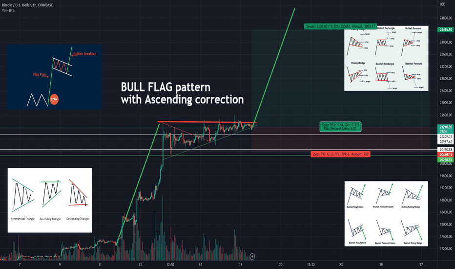 Bitcoin BULL FLAGG & anomaly ?