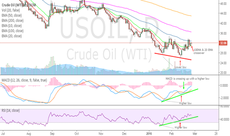 OIL - THE NEXT BIG THING