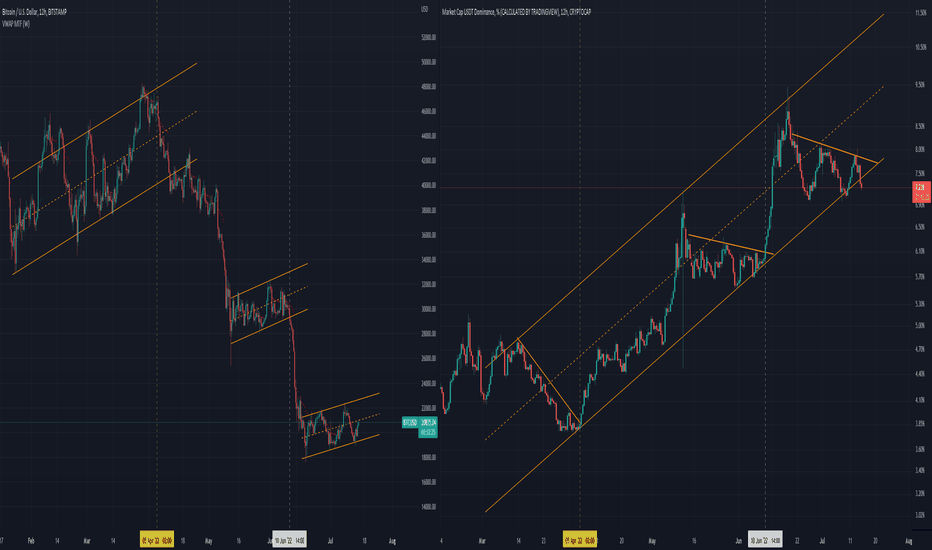 Bear Flag(BTC) Vs USDT dominance