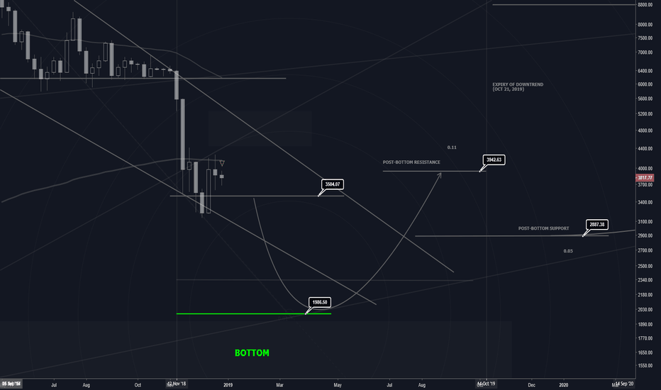 Bitcoin | 2019 Forecast