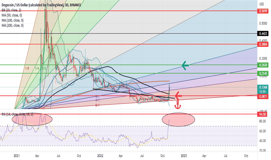 The DOGE price could drop 60% by the end of this year!
