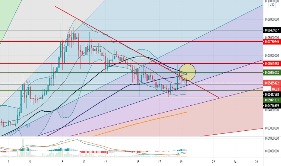 Doge! Now or never!