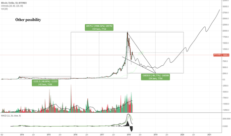 Bitcoin could also go bear for 2 years