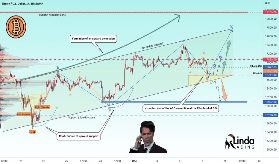 RLinda ! BTCUSD-> Can the correction end at the 0.5 Fibo level?