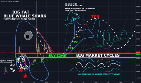 How to understand the market cycles