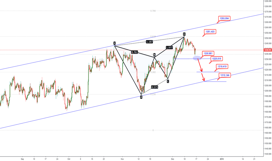 Gold Forecast: Will Gold join the USD as a safe haven?