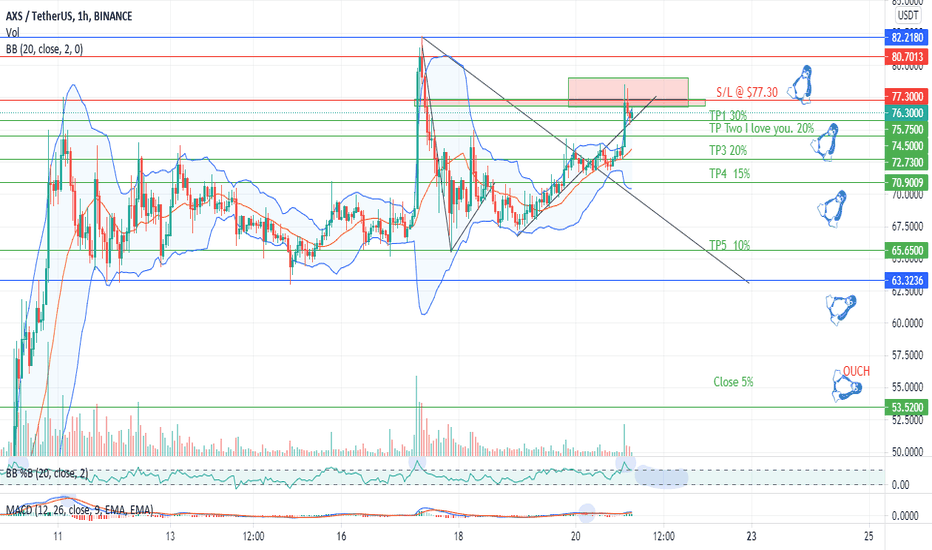 AXS/USDT