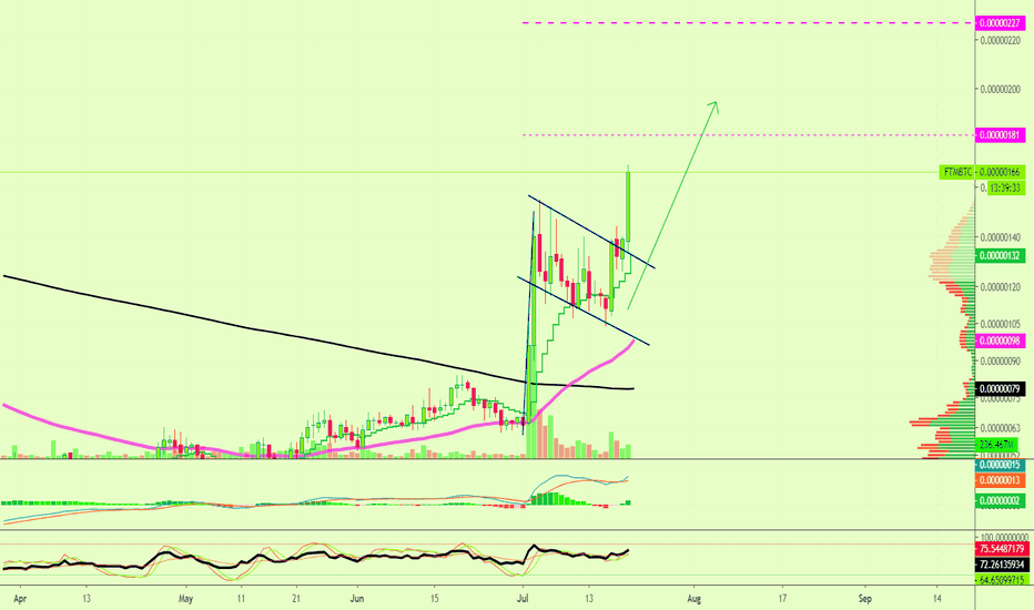 Fantom (FTM) Bullish Flag Broken... Going Higher
