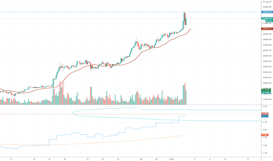 BTC 33060