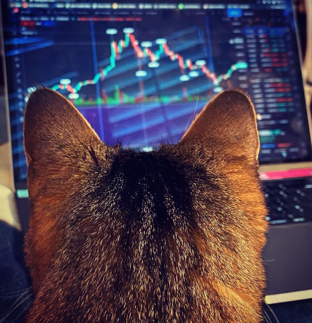 TradingView Chart on Instagram @abbygarrettart