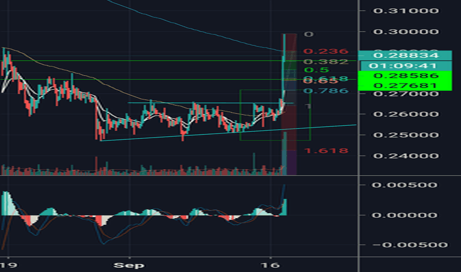 $XRP BUY THE DIPPPPP $XRP