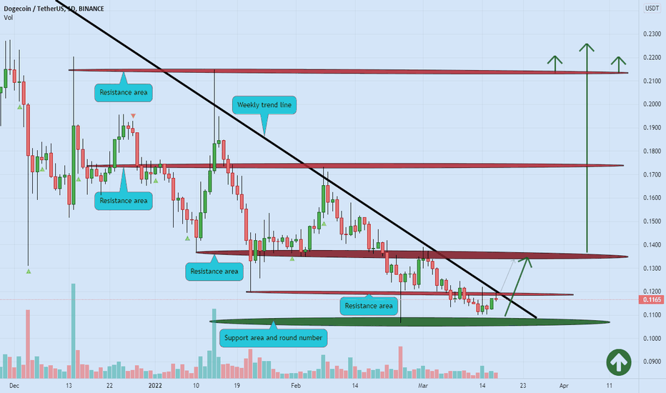 DOGE support zone 🚀