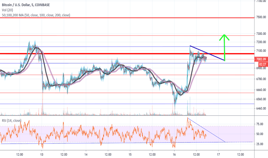Bull Flag or Descending Triangle.