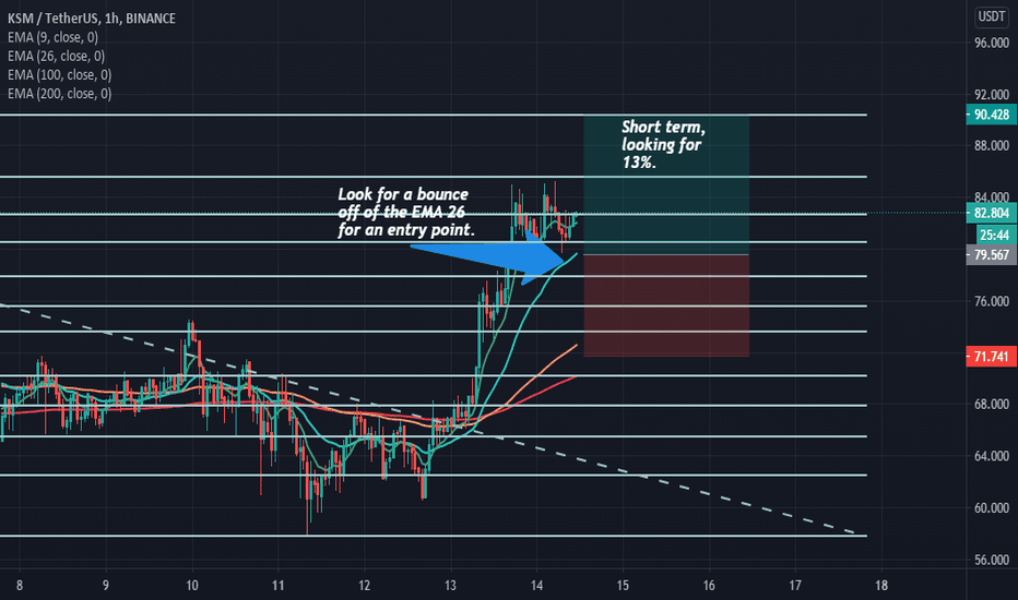 KSM - Short Term 13%
