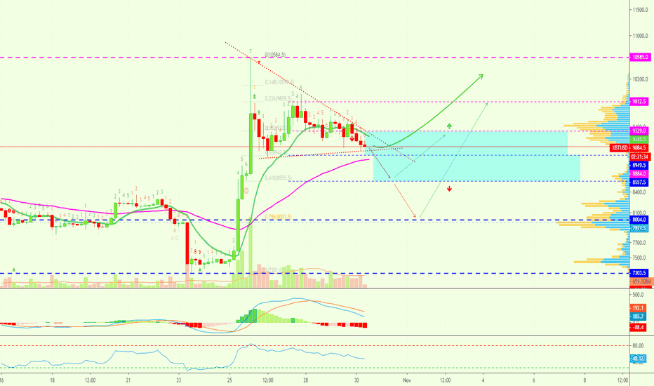 Will Bitcoin Really Collapse Or Just A Bull Flag?