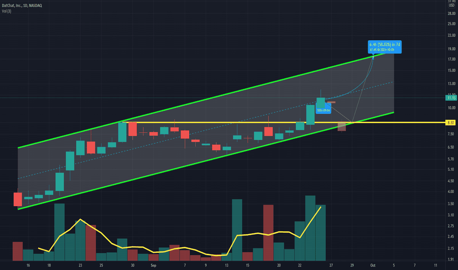 A newly IPOed stock with momentum!