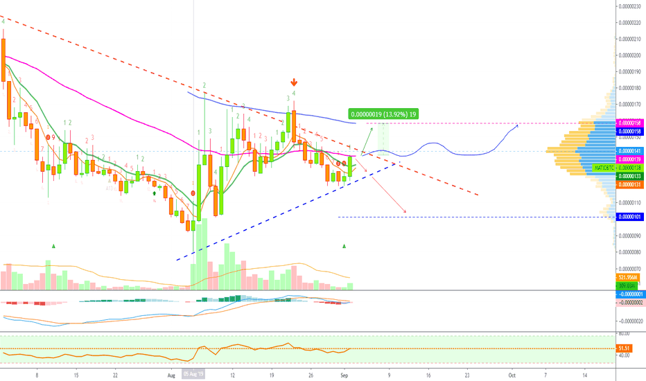 MATIC Network Continues Strong | Challenges EMA100 Next!