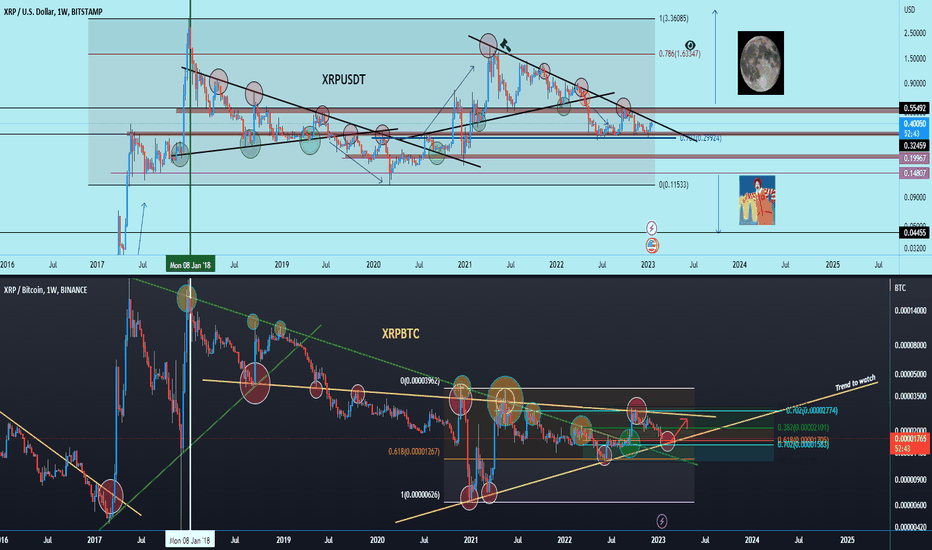 XRP UPDATE