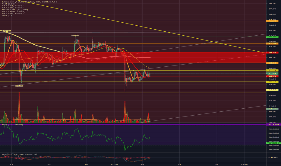LTC In Depth 4/22/19 1hr: Building a base of support?