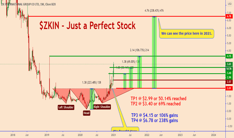 ZKIN: A Wonderful Performance That Is Not Over Yet