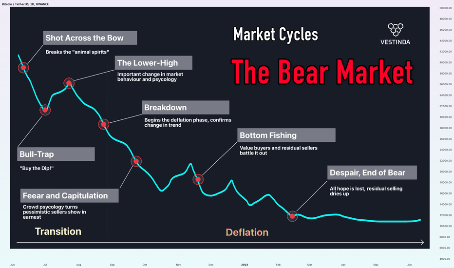 Dynamics of Bear Market Cycles