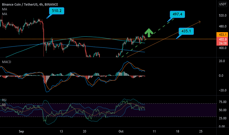 crypto market 08-10:BNB buy  now 
