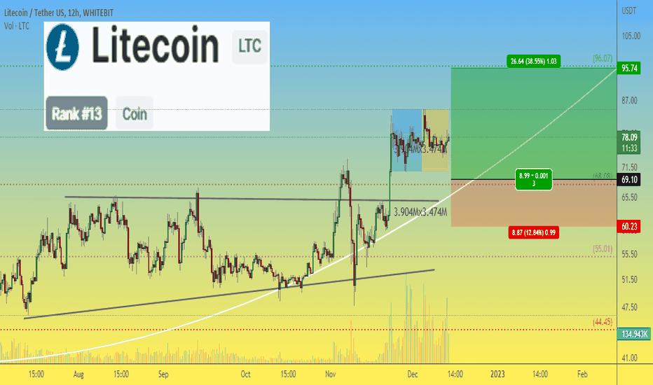 LITECOIN LTC price is preparing for continued growth