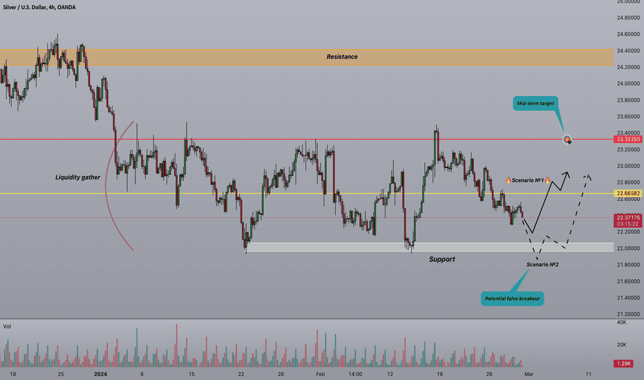 Strifor || SILVER-29/02/2024