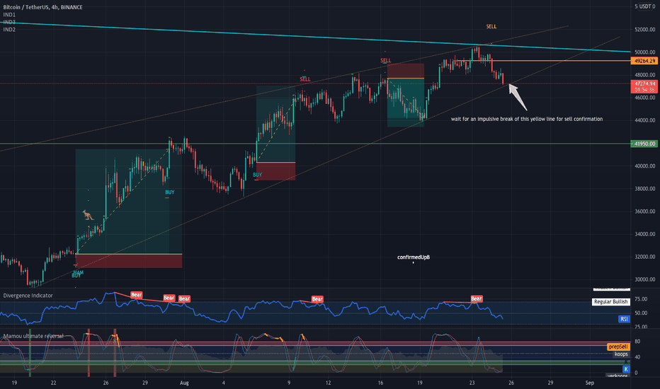 BITCOIN: Rally Continuation to the downside