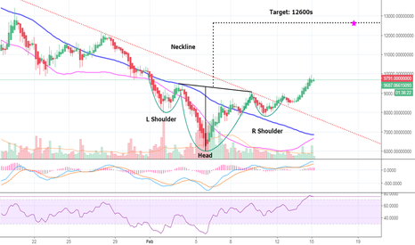Bitcoin going up up up! 12600s projected (BTC)