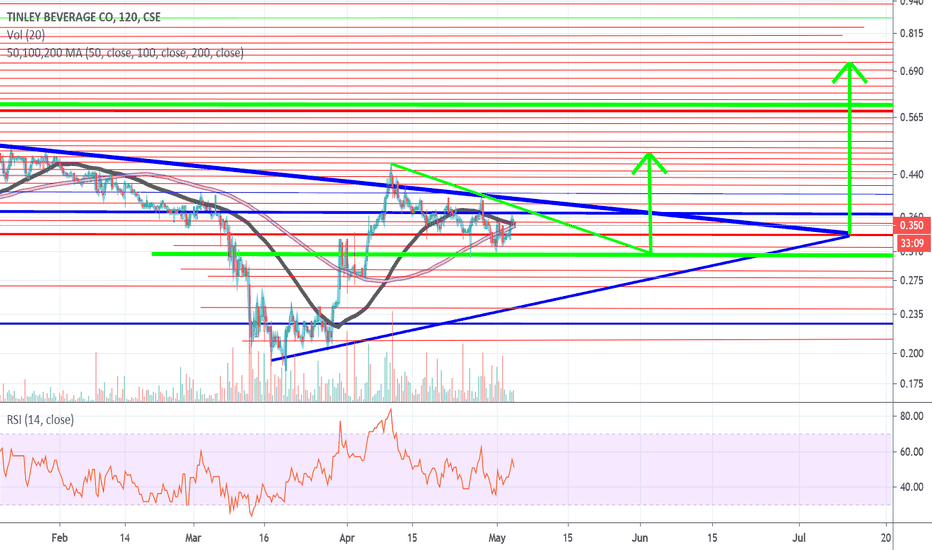 Bull Flag inside of a bullish pennant. 