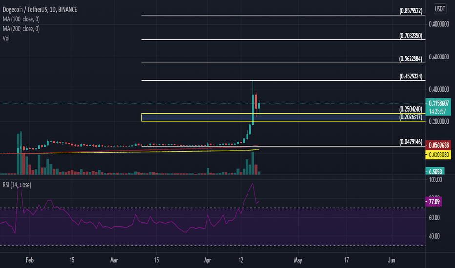 Dogecoin DOGE for summer 2021