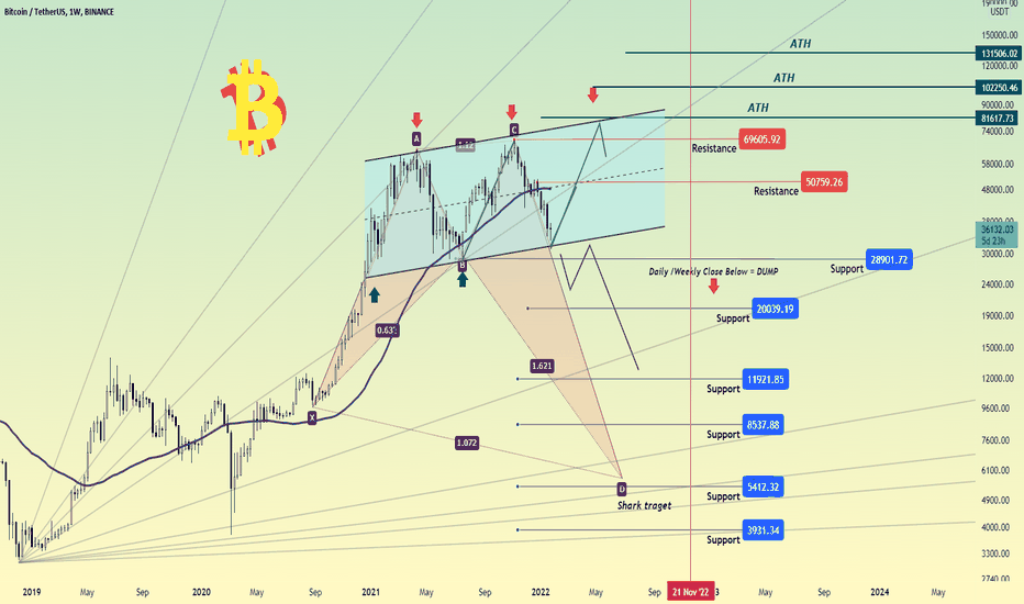 Is That The Bottom or Just a Bull Trap?