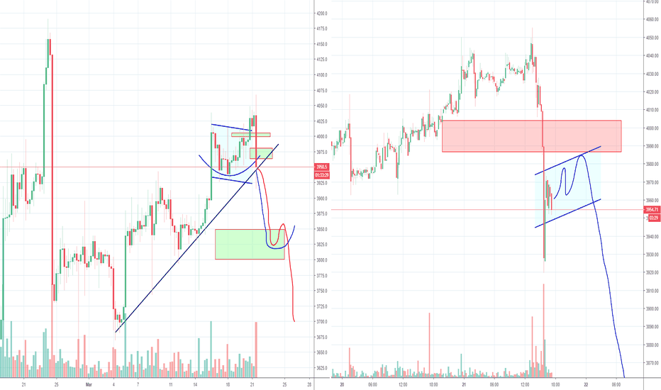 Bitcoin Bears have turned the tables