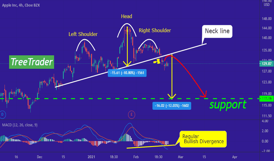 AAPL stocks will experience a fall
