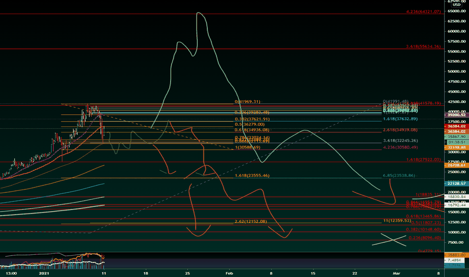 Short Term Bear Country??? (Jan 11th 2021 through Mar 2021)