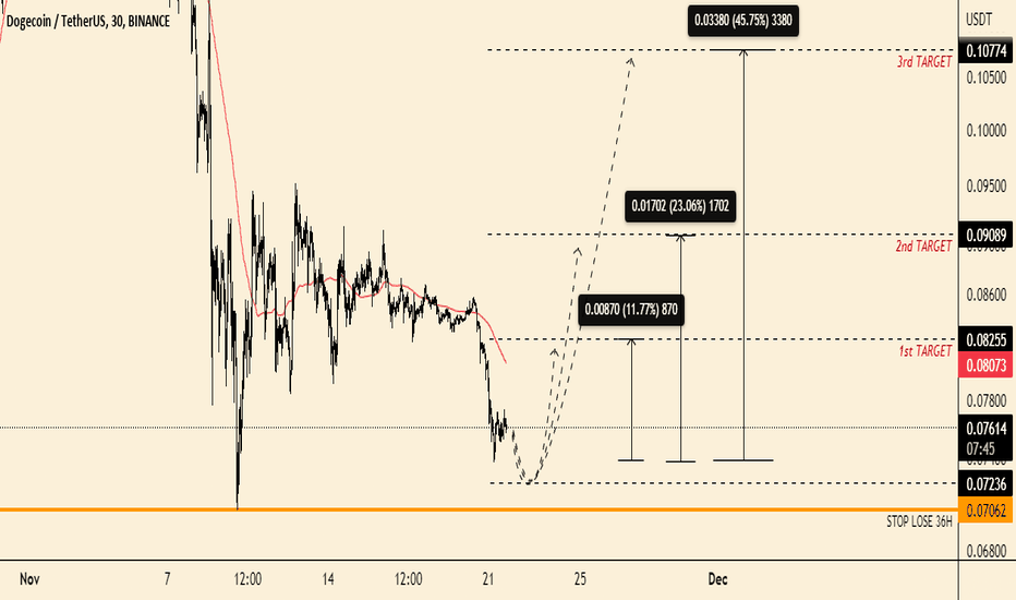 MIDTERM TRADE ON DOGE 