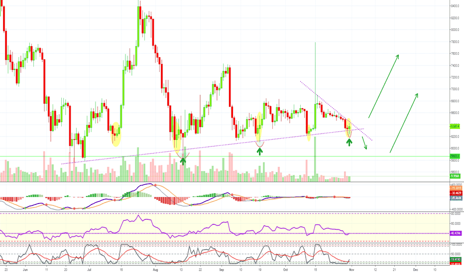 BTC November Historically Bullish + Full Analysis ($9000 Next)