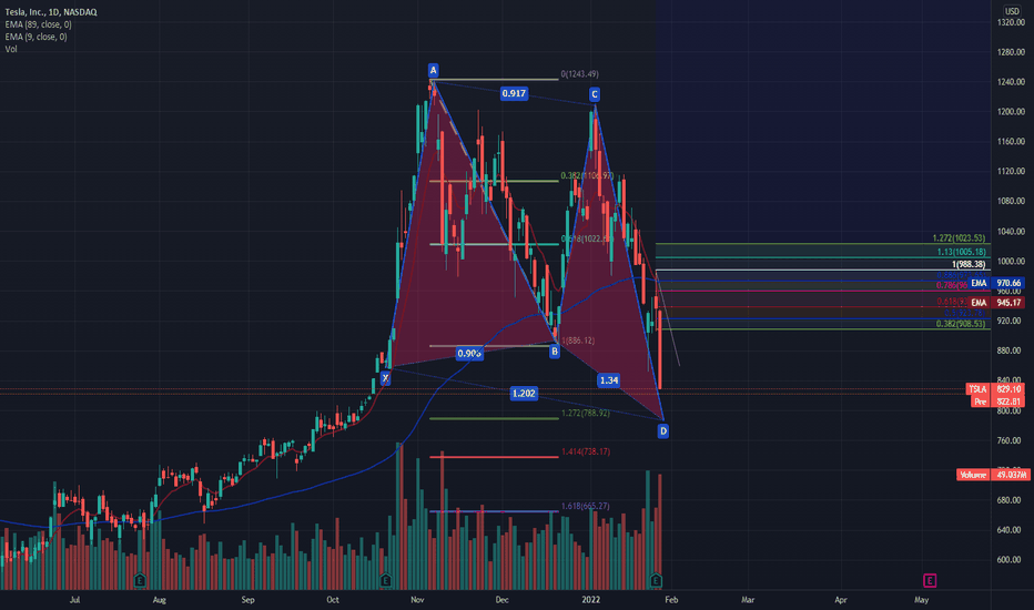 789 tsla