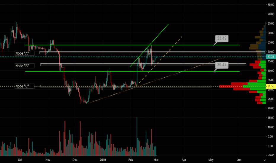 LTC On the Daily with Trading Ideas