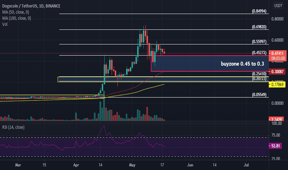 New Dogecoin doge buy zone to summer 2021