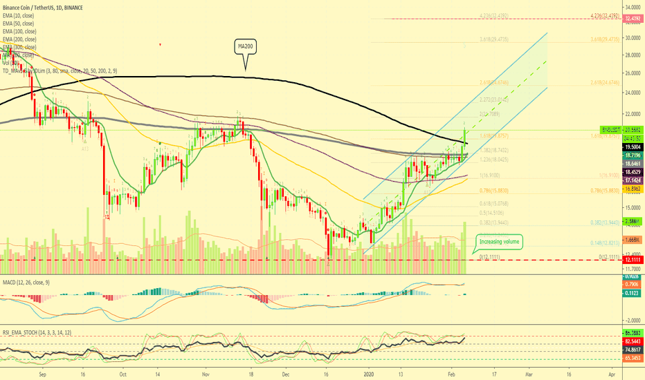 Binance Coin Vs Tether Will Continue To Grow | Chart Mapped