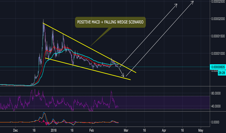 VERGE UPDATE